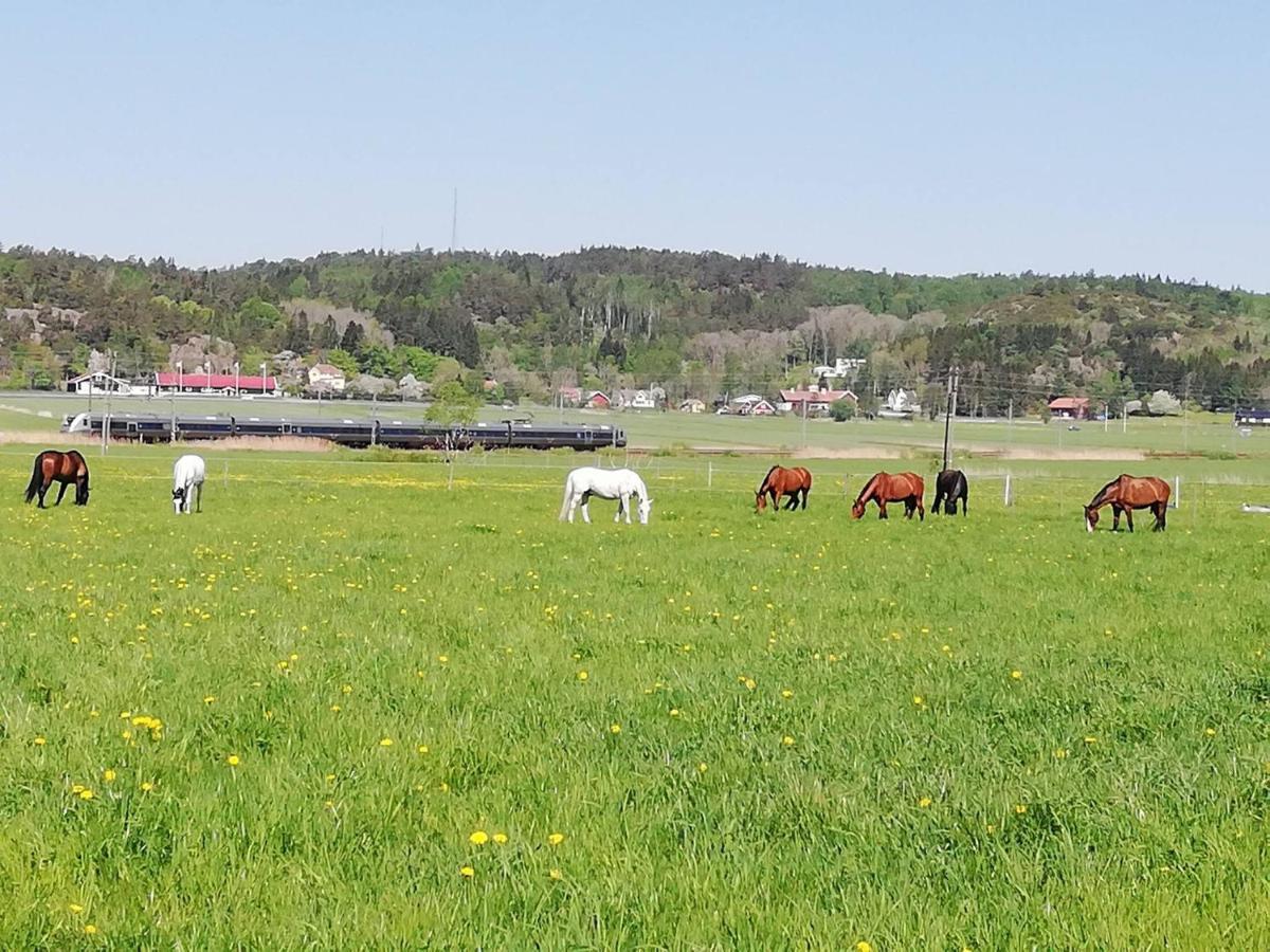 Stuga Pa Hammarbergs Gard Kungsbacka Exterior foto
